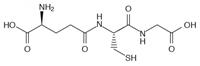 L-Lysin